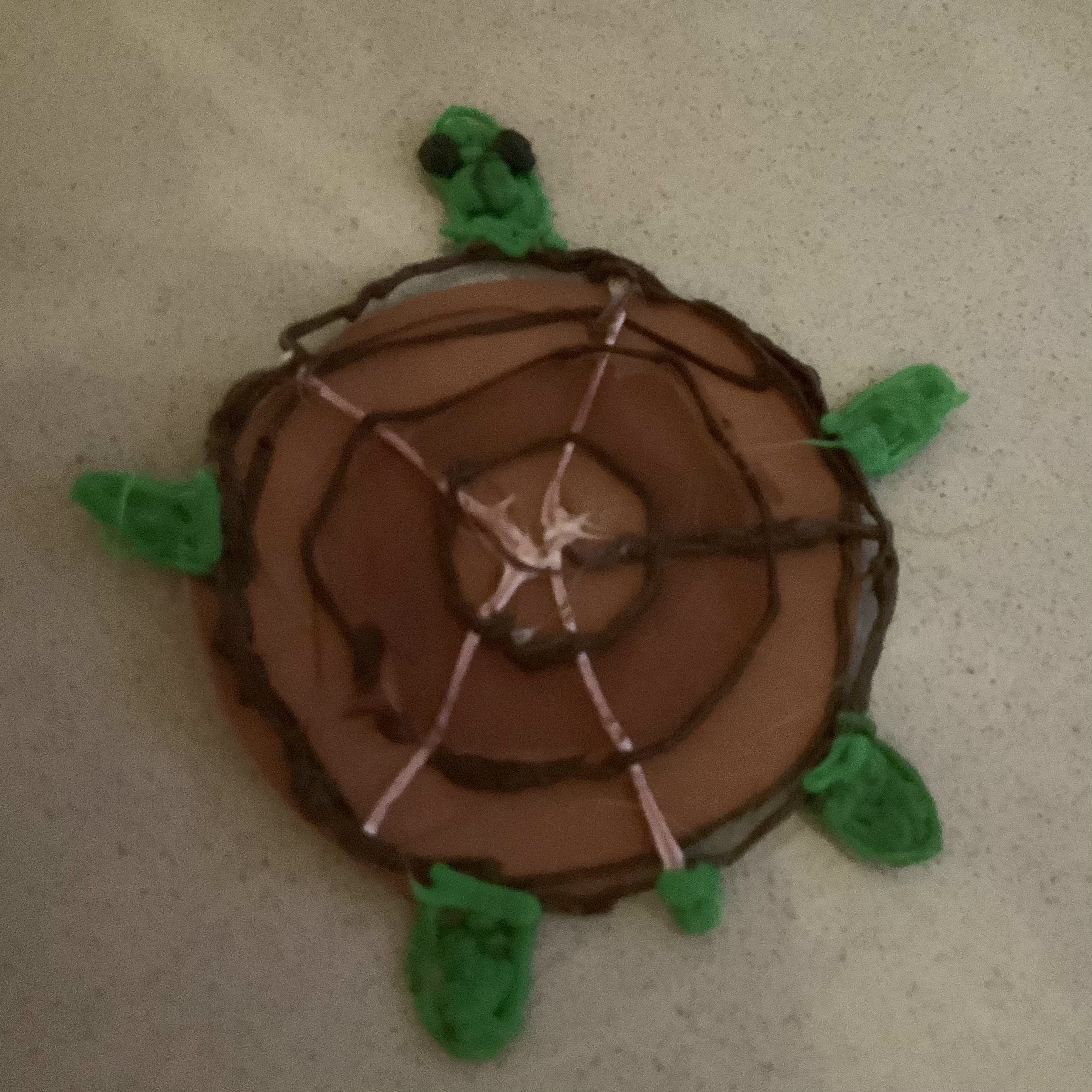 turtle